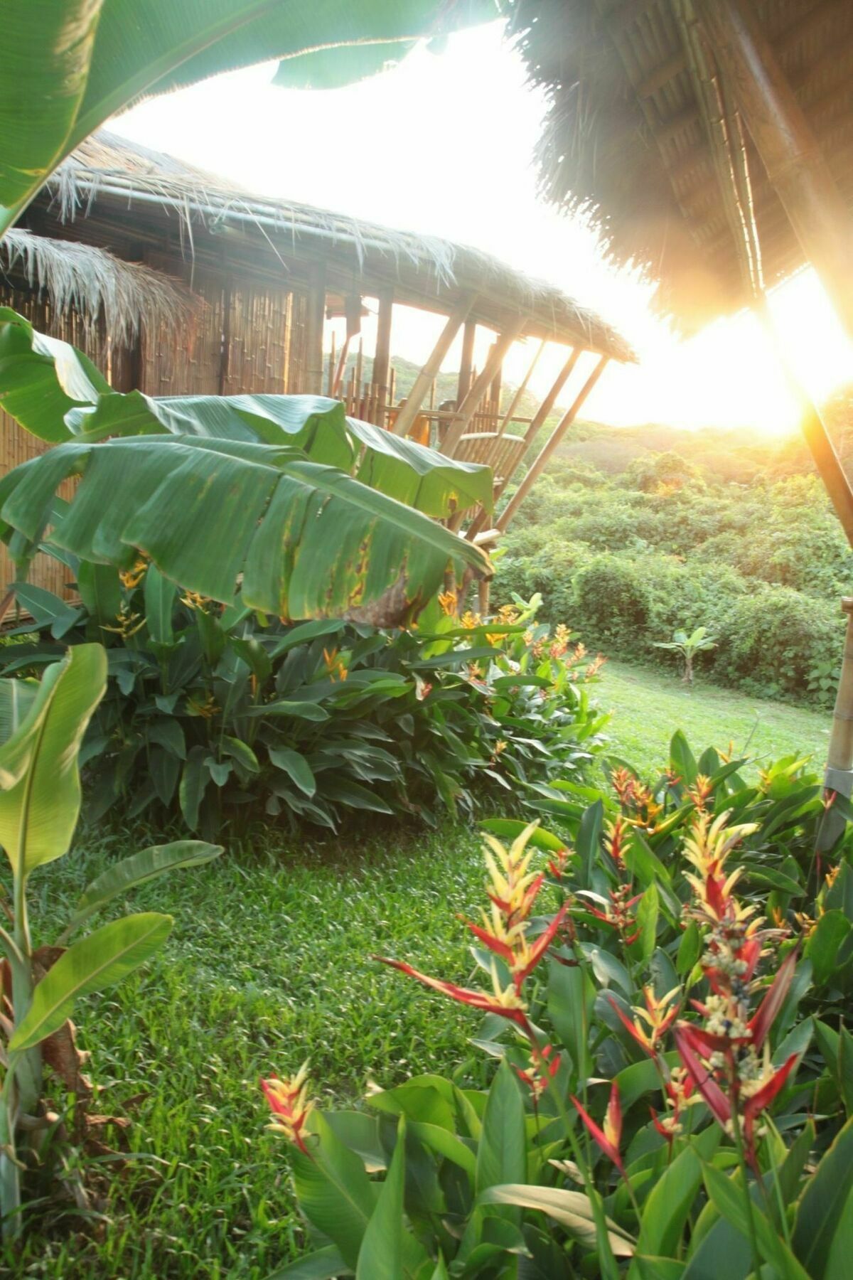 Phuree Hut Koh Phayam Bagian luar foto