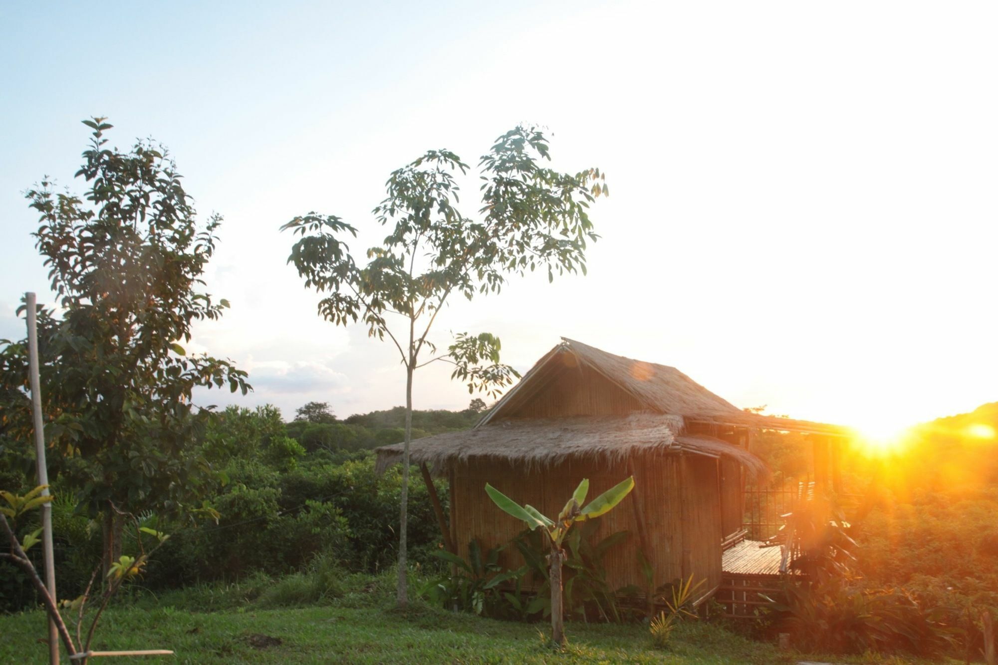 Phuree Hut Koh Phayam Bagian luar foto