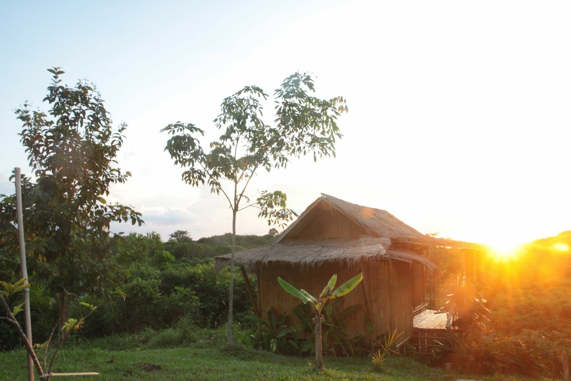 Phuree Hut Villa Koh Phayam Bagian luar foto